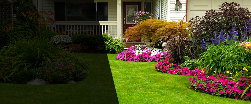 Manitou Springs Landscapers
